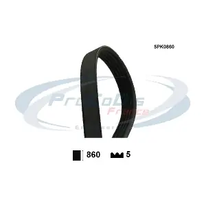 PROCODIS FRANCE 5PK0860