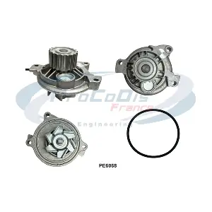 PROCODIS FRANCE PE6068