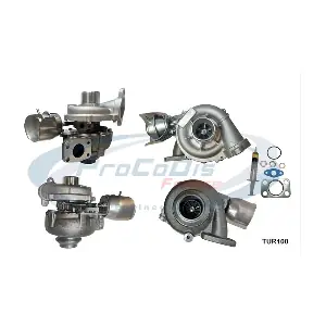 PROCODIS FRANCE TUR100
