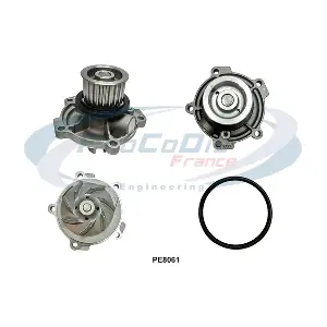 PE8061 PROCODIS FRANCE