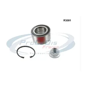 R3001 PROCODIS FRANCE