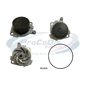 PE1018 PROCODIS FRANCE