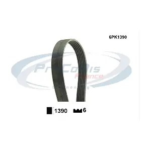PROCODIS FRANCE 6PK1390