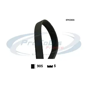 PROCODIS FRANCE 5PK0905