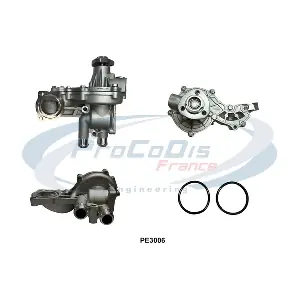 PROCODIS FRANCE PE3006