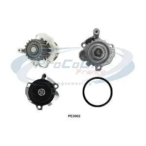 PROCODIS FRANCE PE3002