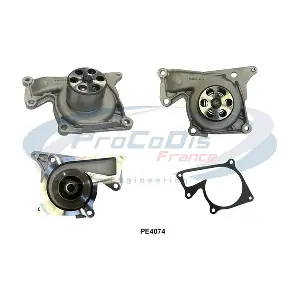 PROCODIS FRANCE PE4074