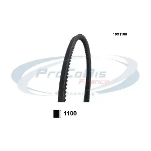 PROCODIS FRANCE 10X1100