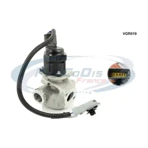 PROCODIS FRANCE VGR019