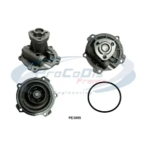 PE3005 PROCODIS FRANCE