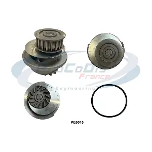 PROCODIS FRANCE PE6015
