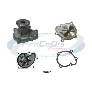 PE6020 PROCODIS FRANCE