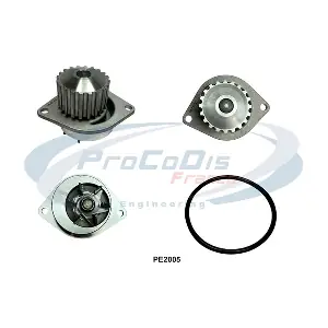 PROCODIS FRANCE PE2005