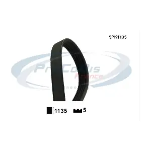 PROCODIS FRANCE 5PK1135