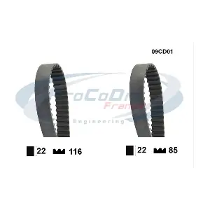 PROCODIS FRANCE 09CD01