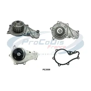 PROCODIS FRANCE PE2009