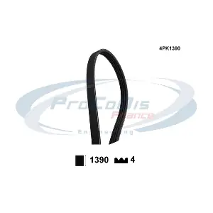 4PK1390 PROCODIS FRANCE