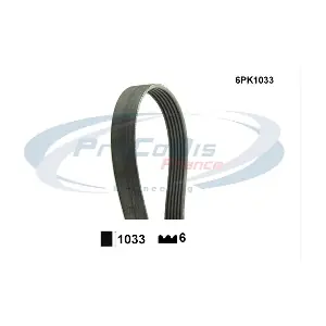 PROCODIS FRANCE 6PK1033