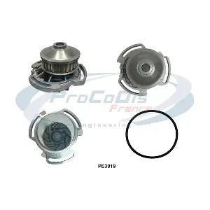 PROCODIS FRANCE PE3019