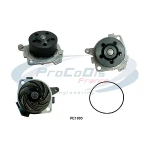 PROCODIS FRANCE PE1003
