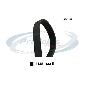 PROCODIS FRANCE 5PK1145