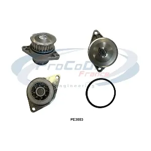 PROCODIS FRANCE PE3003