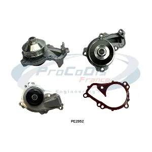 PROCODIS FRANCE PE2052