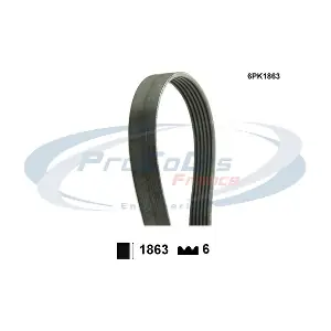 PROCODIS FRANCE 6PK1863