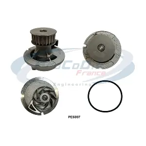 PROCODIS FRANCE PE6007