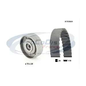 PROCODIS FRANCE KTD3021