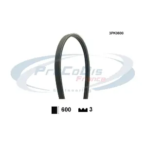 PROCODIS FRANCE 3PK0600