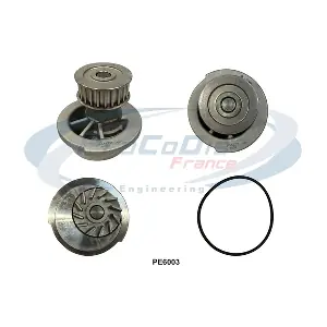 PROCODIS FRANCE PE6003