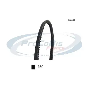 PROCODIS FRANCE 10X0980