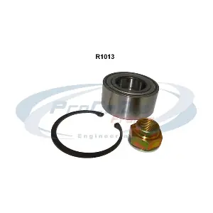PROCODIS FRANCE R1013