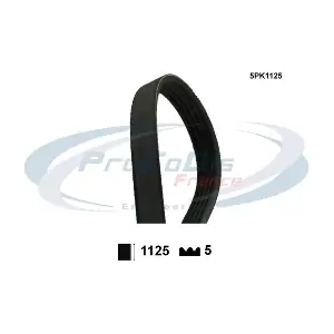 PROCODIS FRANCE 5PK1125