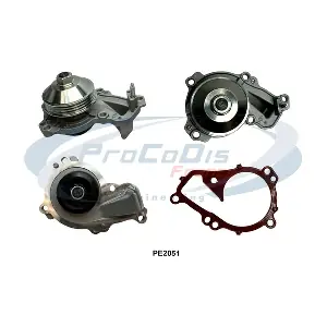 PROCODIS FRANCE PE2051
