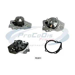 PROCODIS FRANCE PE2011