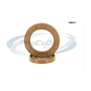 KBE017 PROCODIS FRANCE