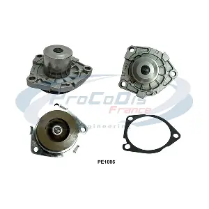 PROCODIS FRANCE PE1006