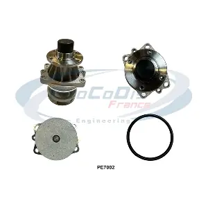 PE7002 PROCODIS FRANCE