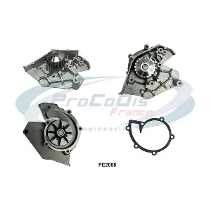 PE2008 PROCODIS FRANCE