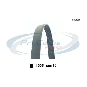 10PK1005 PROCODIS FRANCE