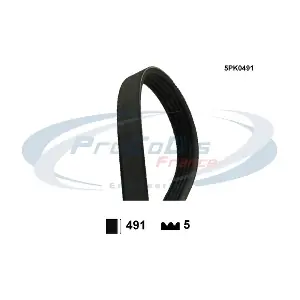 5PK0491 PROCODIS FRANCE