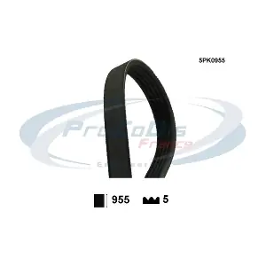 PROCODIS FRANCE 5PK0955