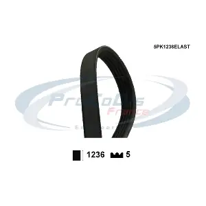 PROCODIS FRANCE 5PK1236ELAST