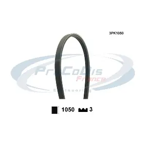 3PK1050 PROCODIS FRANCE