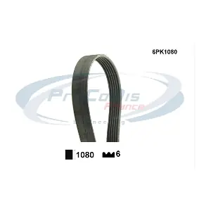 6PK1080 PROCODIS FRANCE