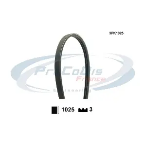 3PK1025 PROCODIS FRANCE