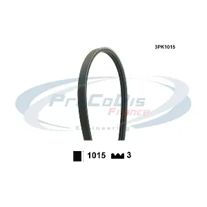 3PK1015 PROCODIS FRANCE