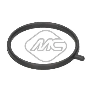 77901 Metalcaucho